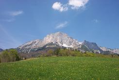 Almwiese vorm Untersberg